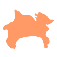 神奈川県